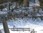  2004.03.12 Skifahrt Italien / Weißenbach