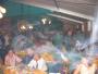  2004.07.17 Schützenfest Godelheim
