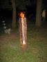  2005.07.30 Teichparty die Achte