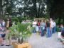  2006.07.22 Nachtexpress