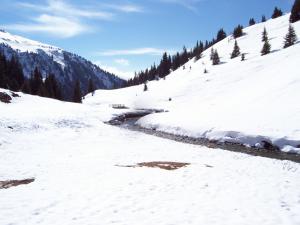 Laax 2007 - 0004.jpg