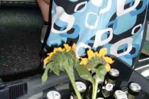 2011.08.20 M&M Tours zu DTK nach Hameln 030